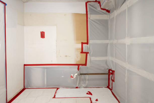 Best Biohazard Mold Removal  in Fort Thomas, KY