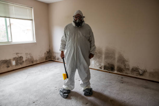 Mold Odor Removal Services in Fort Thomas, KY