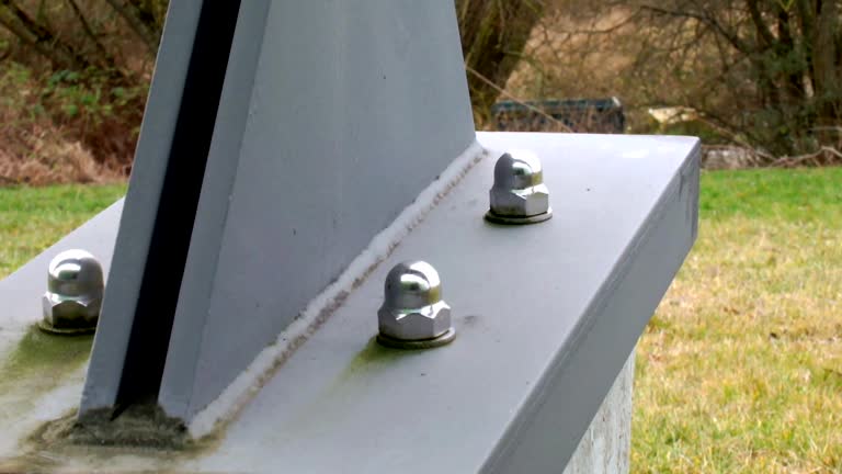 Best Mold Remediation for Vacation Homes  in Fort Thomas, KY